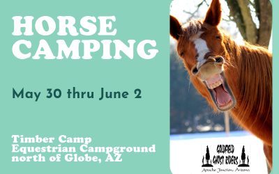 HORSE CAMPING